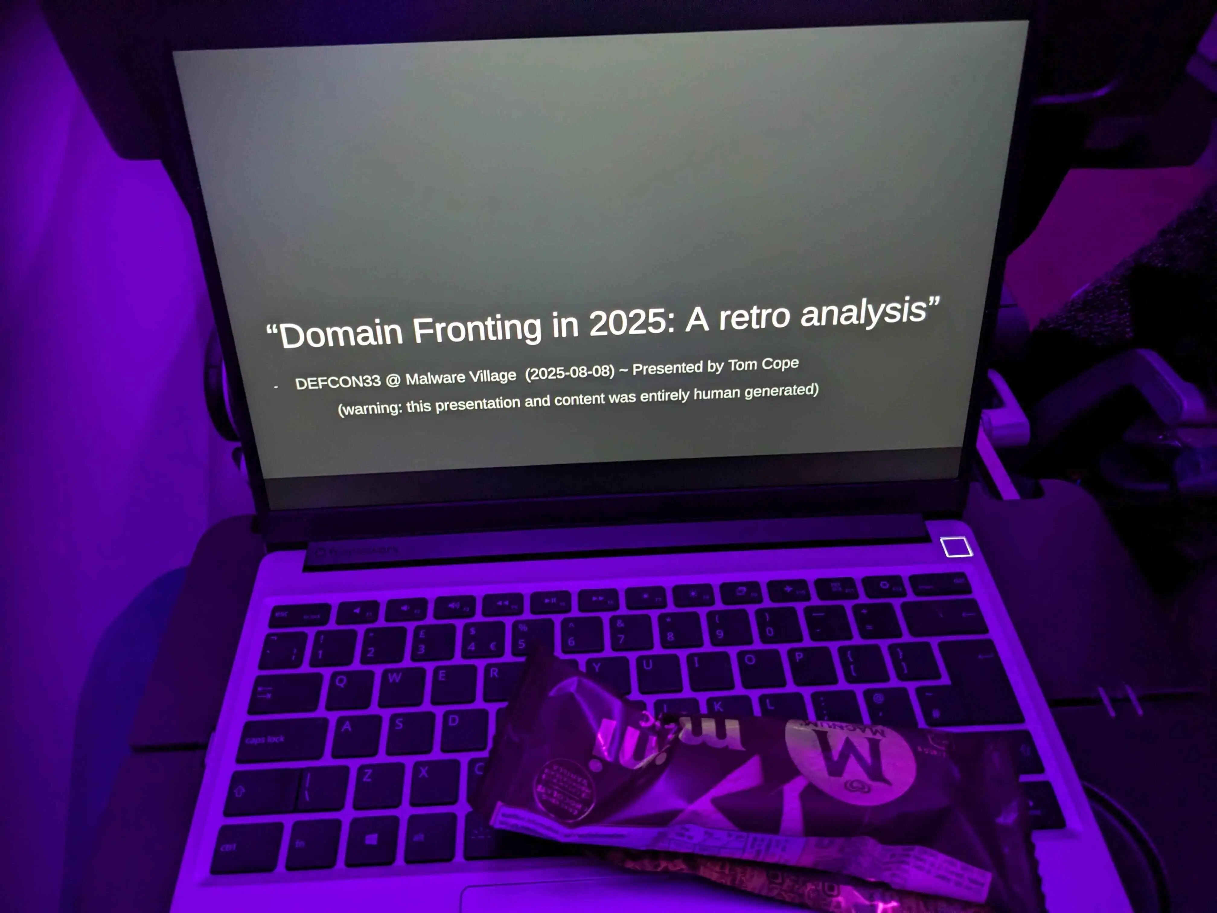 DEFCON33 Flight Icecream