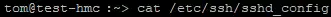 ssh config